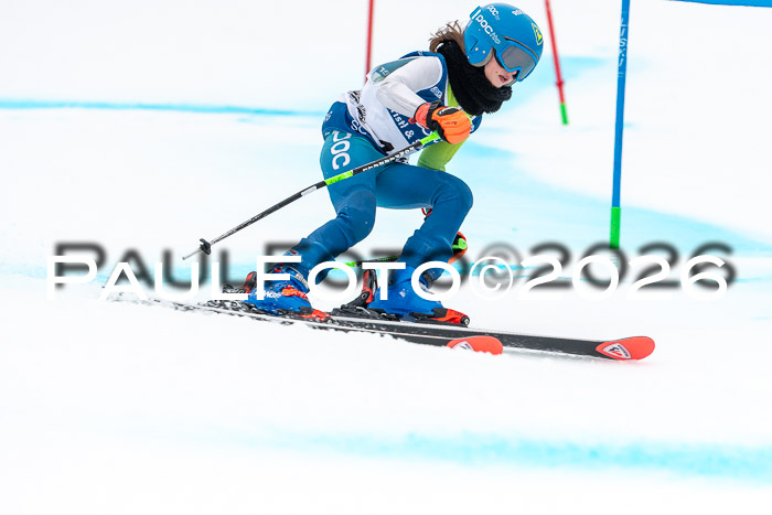 SVM  7. Stumbaum Hausfreunde Cup U12