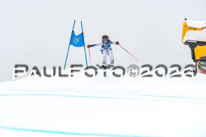 SVM  7. Stumbaum Hausfreunde Cup U12