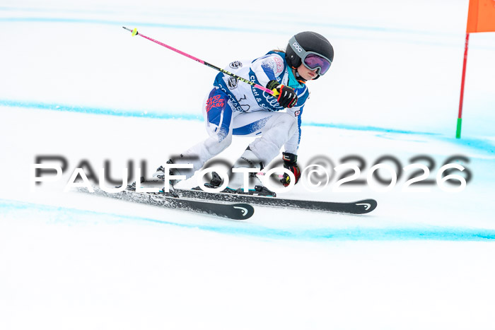 SVM  7. Stumbaum Hausfreunde Cup U12