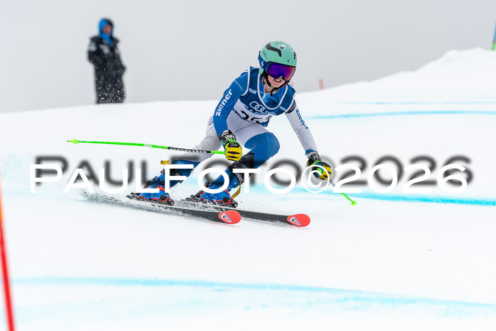 SVM  7. Stumbaum Hausfreunde Cup U12