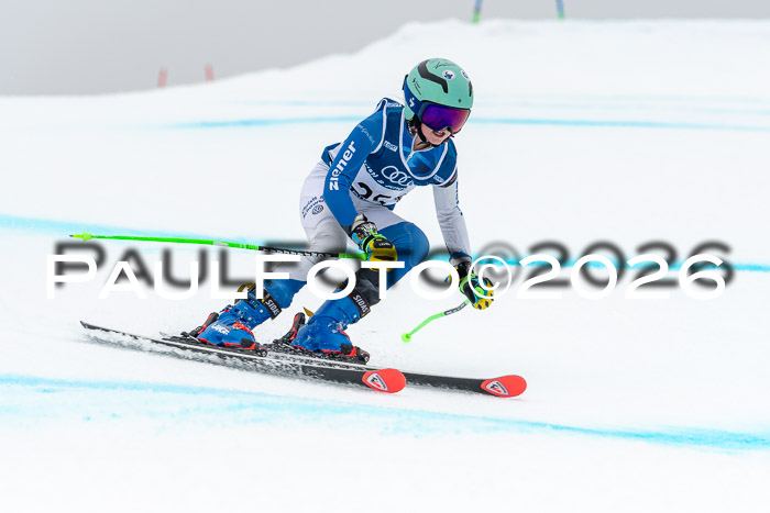 SVM  7. Stumbaum Hausfreunde Cup U12