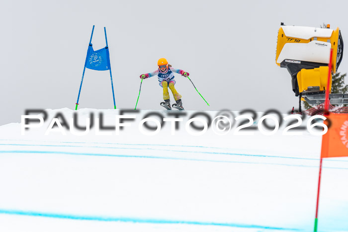 SVM  7. Stumbaum Hausfreunde Cup U12