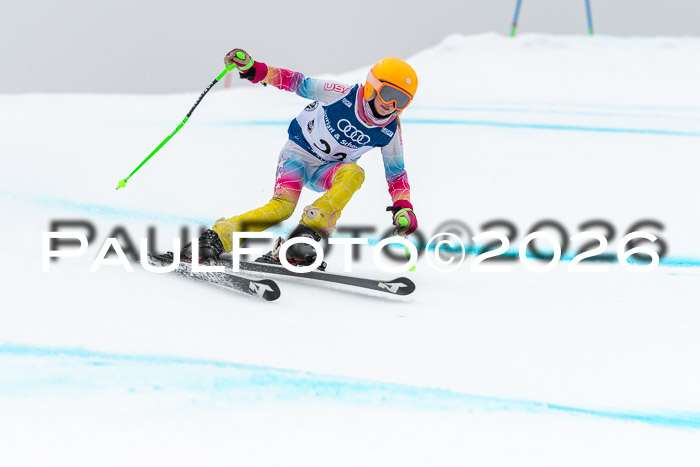 SVM  7. Stumbaum Hausfreunde Cup U12