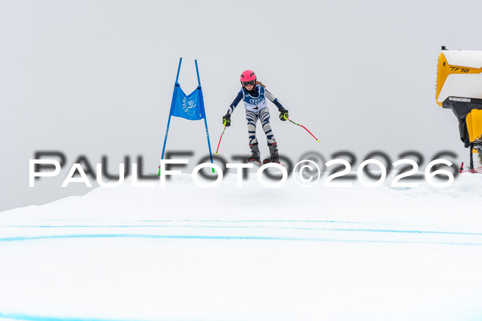 SVM  7. Stumbaum Hausfreunde Cup U12