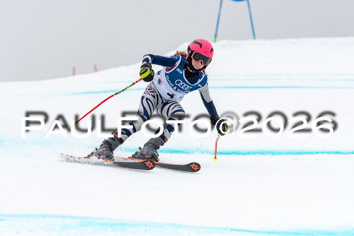 SVM  7. Stumbaum Hausfreunde Cup U12