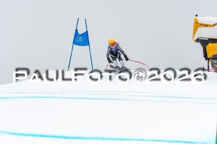 SVM  7. Stumbaum Hausfreunde Cup U12