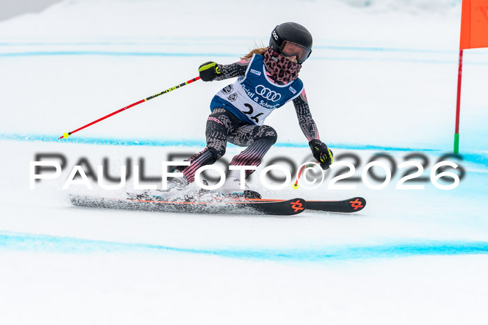 SVM  7. Stumbaum Hausfreunde Cup U12