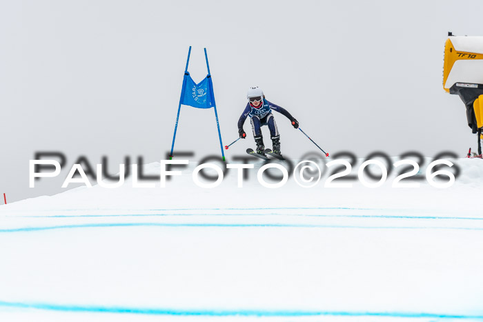 SVM  7. Stumbaum Hausfreunde Cup U12