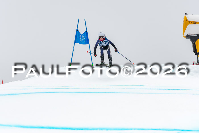 SVM  7. Stumbaum Hausfreunde Cup U12