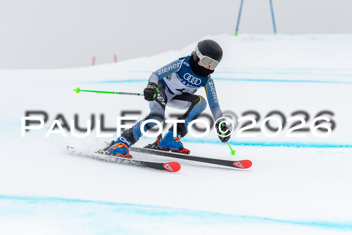 SVM  7. Stumbaum Hausfreunde Cup U12