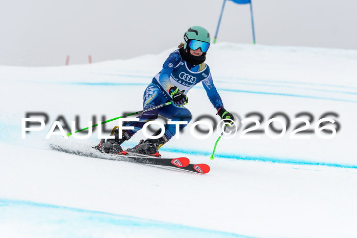 SVM  7. Stumbaum Hausfreunde Cup U12