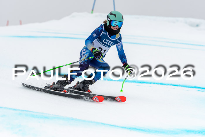 SVM  7. Stumbaum Hausfreunde Cup U12