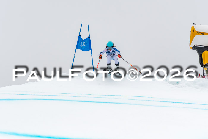 SVM  7. Stumbaum Hausfreunde Cup U12