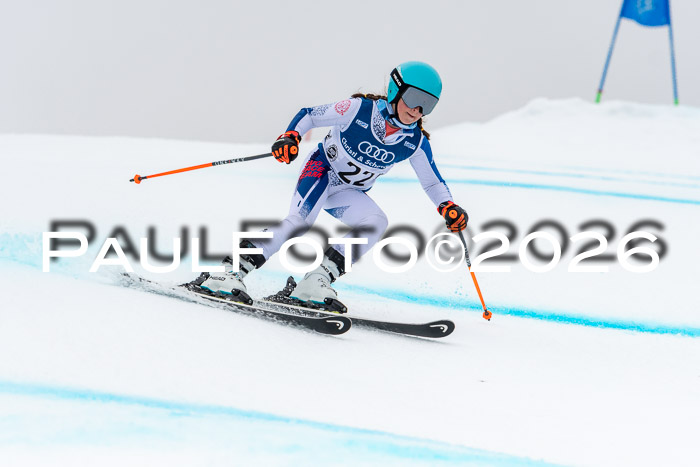 SVM  7. Stumbaum Hausfreunde Cup U12