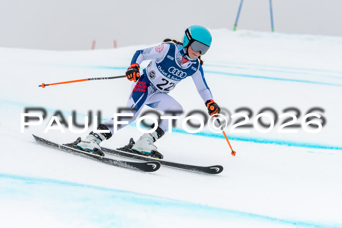 SVM  7. Stumbaum Hausfreunde Cup U12