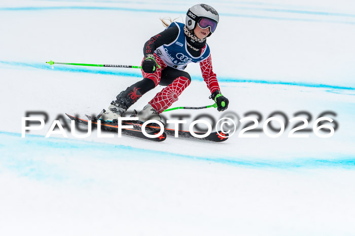 SVM  7. Stumbaum Hausfreunde Cup U12