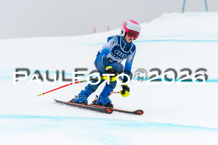 SVM  7. Stumbaum Hausfreunde Cup U12