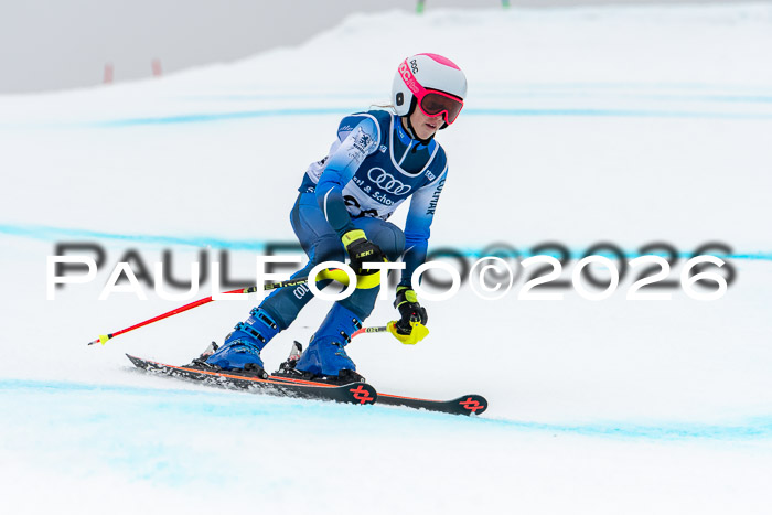 SVM  7. Stumbaum Hausfreunde Cup U12