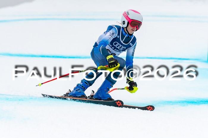 SVM  7. Stumbaum Hausfreunde Cup U12