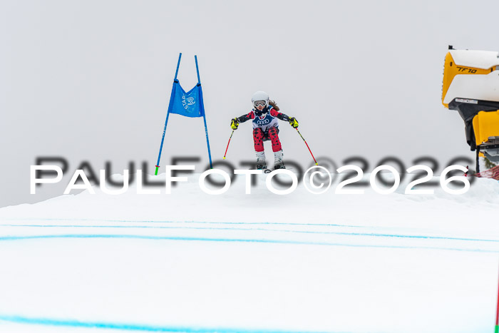 SVM  7. Stumbaum Hausfreunde Cup U12