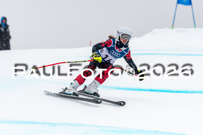 SVM  7. Stumbaum Hausfreunde Cup U12