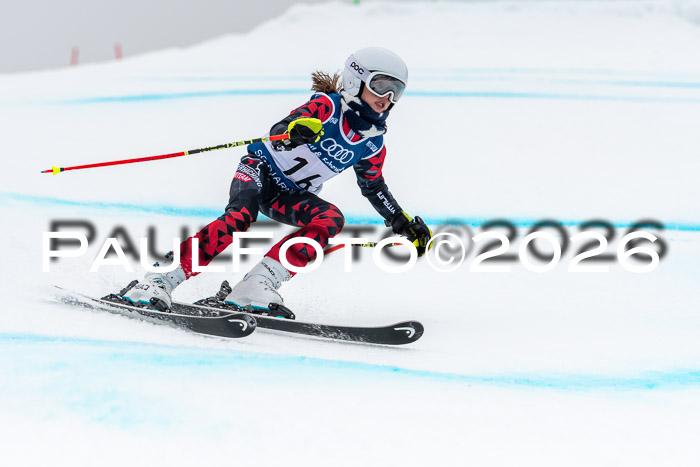 SVM  7. Stumbaum Hausfreunde Cup U12