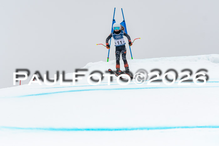 SVM  7. Stumbaum Hausfreunde Cup U12