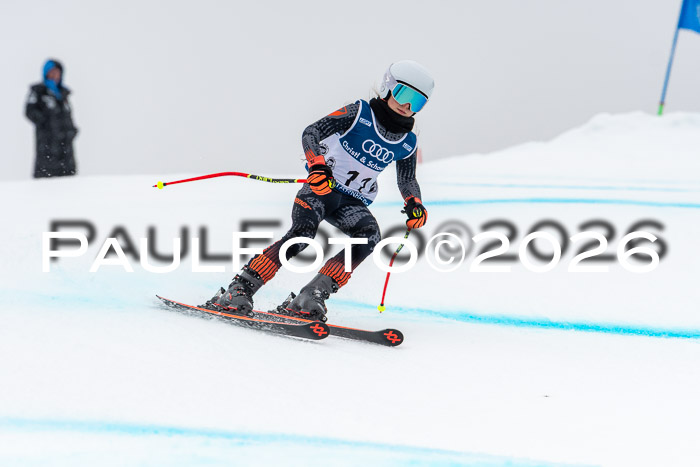 SVM  7. Stumbaum Hausfreunde Cup U12