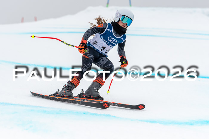 SVM  7. Stumbaum Hausfreunde Cup U12