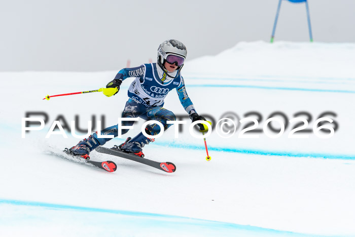 SVM  7. Stumbaum Hausfreunde Cup U12