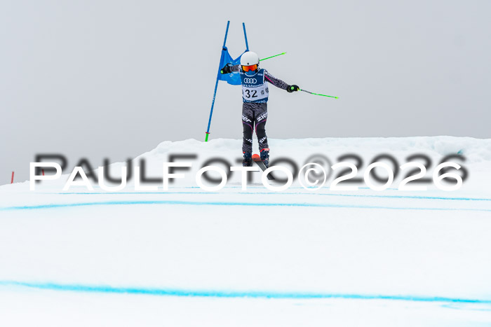 SVM  7. Stumbaum Hausfreunde Cup U12