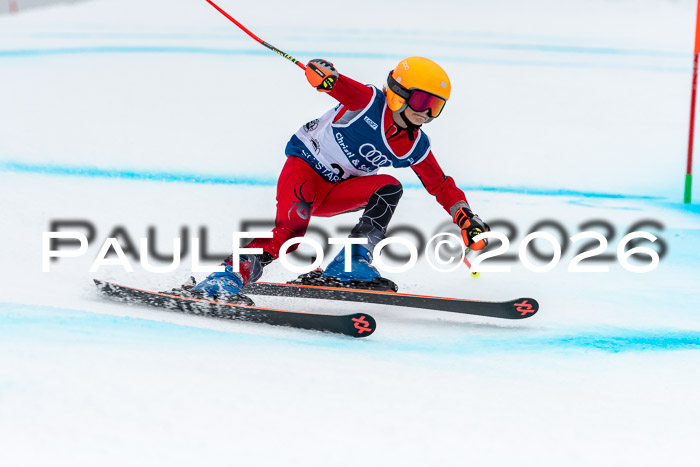 SVM  7. Stumbaum Hausfreunde Cup U12