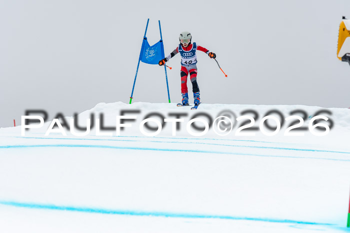 SVM  7. Stumbaum Hausfreunde Cup U12