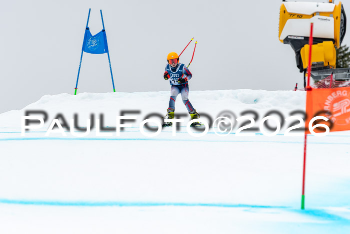 SVM  7. Stumbaum Hausfreunde Cup U12