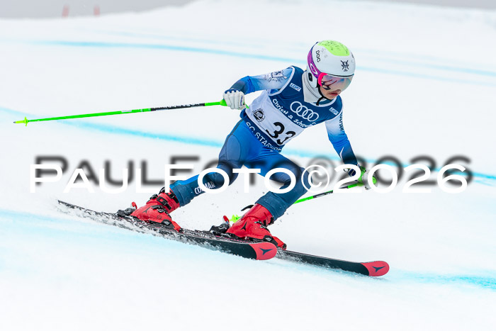 SVM  7. Stumbaum Hausfreunde Cup U12