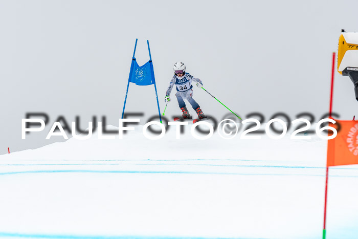 SVM  7. Stumbaum Hausfreunde Cup U12