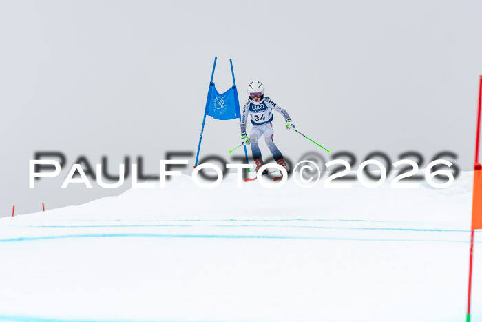 SVM  7. Stumbaum Hausfreunde Cup U12