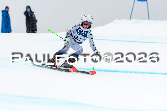 SVM  7. Stumbaum Hausfreunde Cup U12