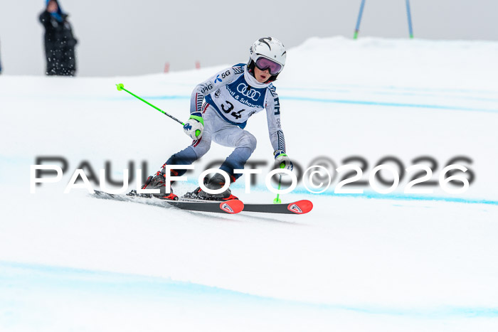 SVM  7. Stumbaum Hausfreunde Cup U12