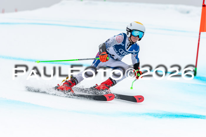 SVM  7. Stumbaum Hausfreunde Cup U12