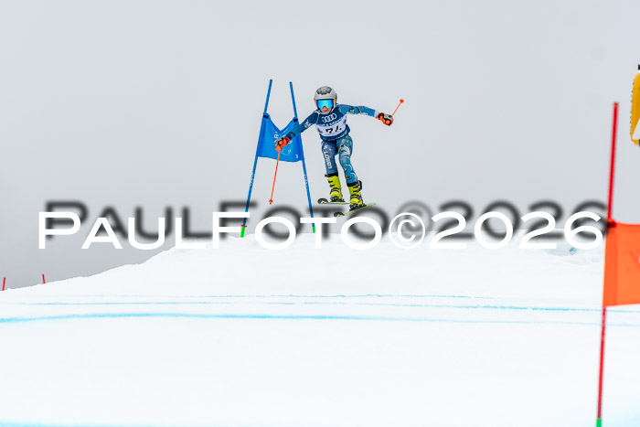 SVM  7. Stumbaum Hausfreunde Cup U12