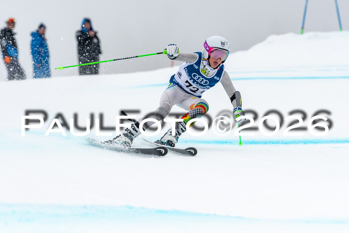 SVM  7. Stumbaum Hausfreunde Cup U12