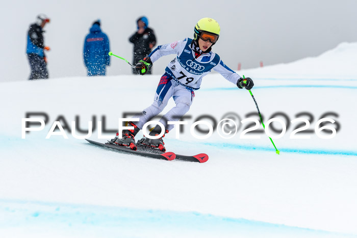 SVM  7. Stumbaum Hausfreunde Cup U12