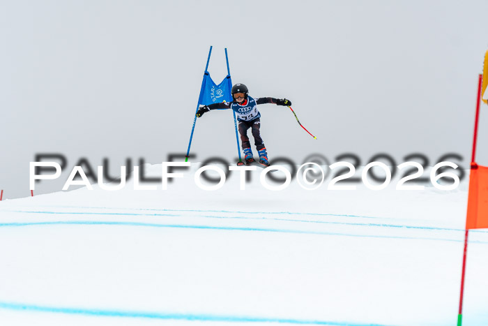 SVM  7. Stumbaum Hausfreunde Cup U12