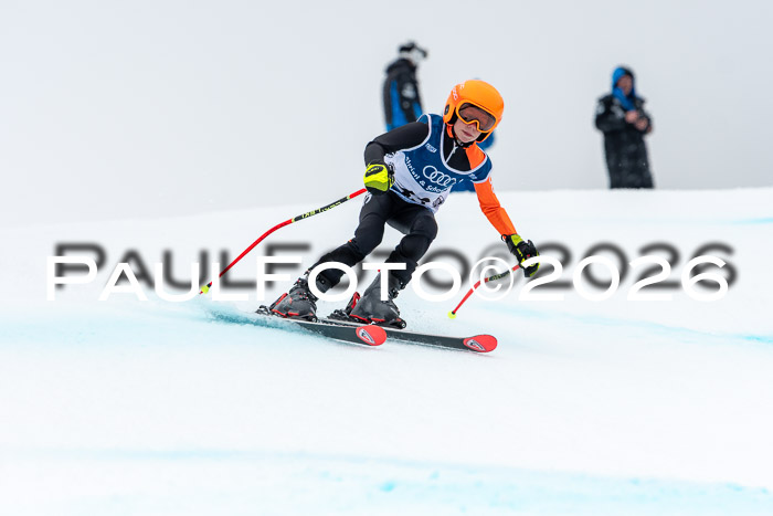 SVM  7. Stumbaum Hausfreunde Cup U12