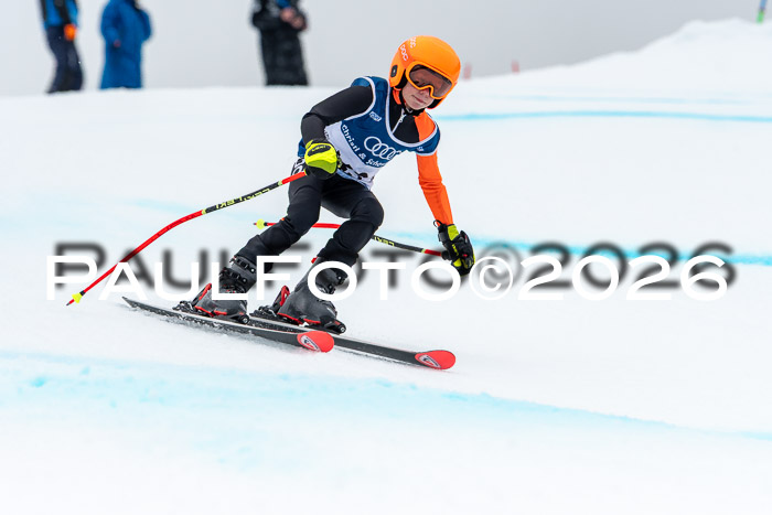 SVM  7. Stumbaum Hausfreunde Cup U12