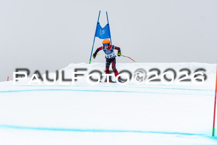 SVM  7. Stumbaum Hausfreunde Cup U12