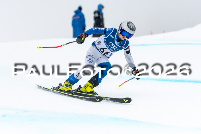 SVM  7. Stumbaum Hausfreunde Cup U12