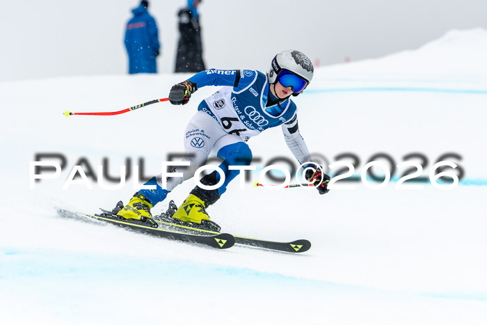 SVM  7. Stumbaum Hausfreunde Cup U12