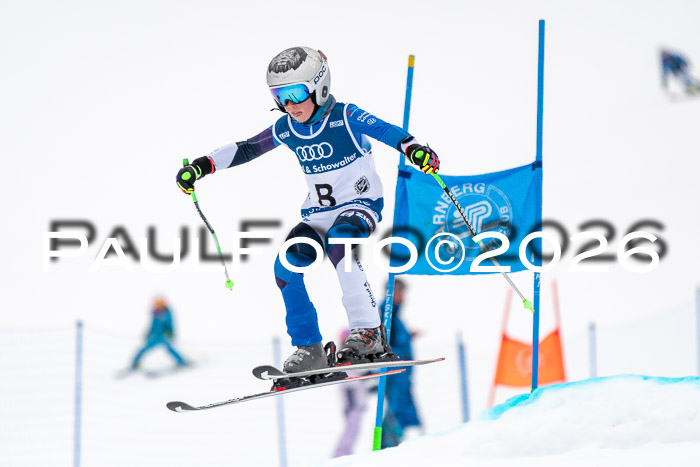 SVM U8/10 Sport Gürteler Cup 01.03.2026